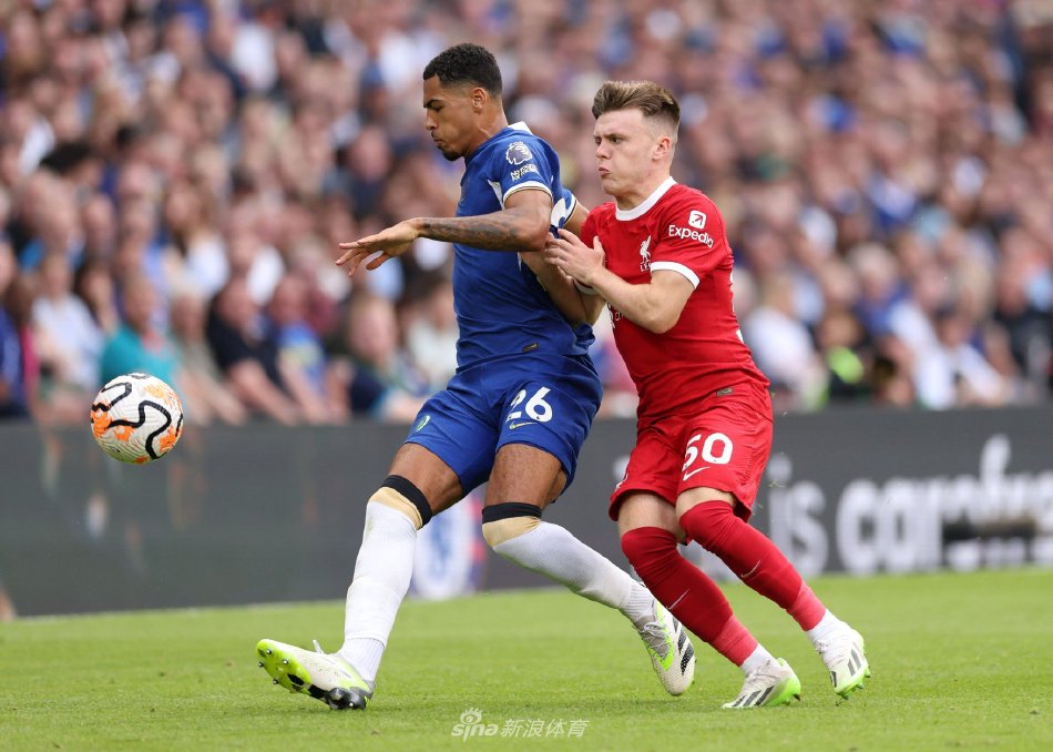 可以看出 可以看出